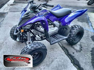New 2026 Yamaha RAPTOR 110 
