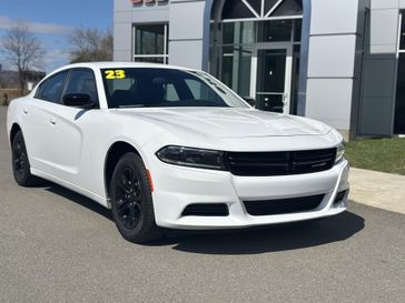 White Knuckle Clear Coat