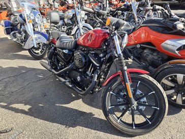 USED 2019 HARLEY SPORTSTER IRON 883 
