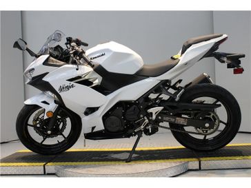 2017 Kawasaki Ninja 300