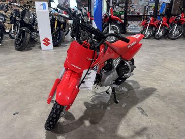 2025 Honda CRF50F 