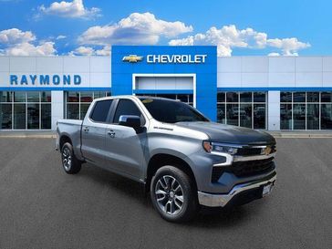 Sterling Gray Metallic