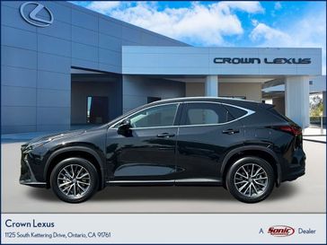 2025 Lexus NX 250