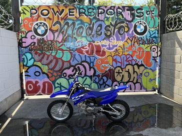 Team Yamaha Blue