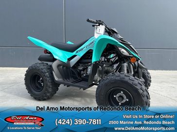 2025 Yamaha RAPTOR 110