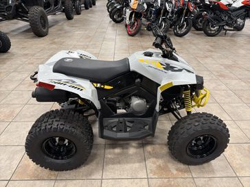 New 2025 Can-Am RENEGADE 110 EFI 