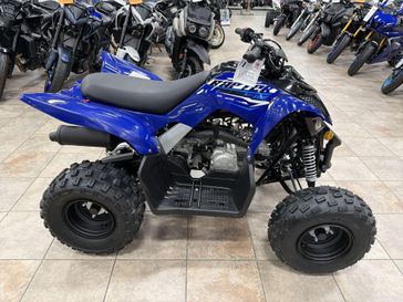 New 2026 Yamaha RAPTOR 110 