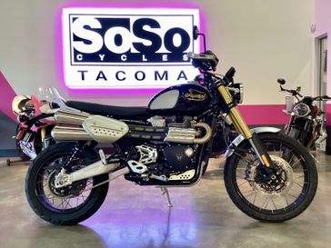 2025 Triumph Scrambler 1200 Xe 