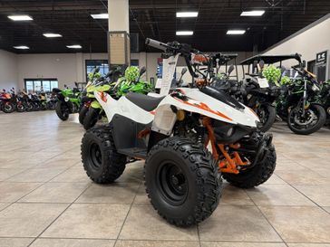 New 2026 Kayo STORM 70 