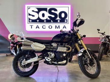2025 Triumph Scrambler 1200 XE 