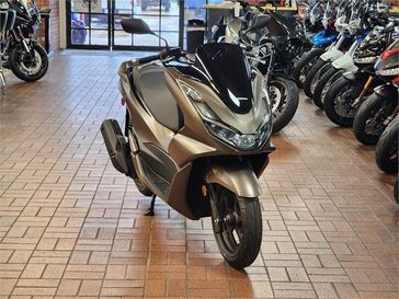 2023 Honda PCX