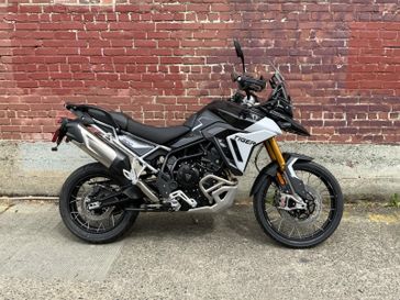 2024 Triumph Tiger 900 Rally Pro