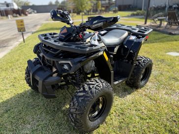 New 2025 Denago Powersports Mudhawk 10FI 