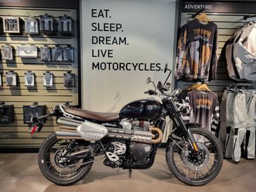 New 2025 Triumph SCRAMBLER 1200 X 