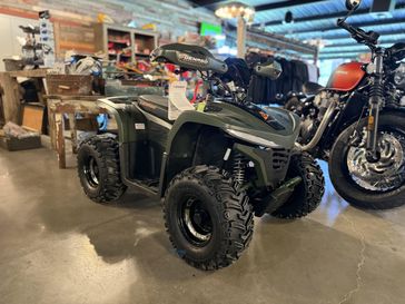 2025 Denago Powersports E-Hawk 6 