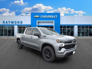 Sterling Gray Metallic