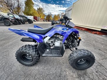 New 2026 Yamaha Raptor 110 