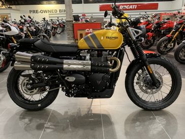 2024 Triumph Scrambler 900  in a COSMIC YELLOW/ GRAPHITE exterior color. SoSo Cycles 877-344-5251 sosocycles.com 