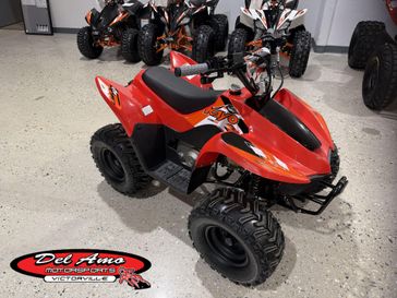 New 2026 Kayo STORM 70 