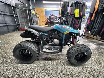New 2026 Can-Am Renegade 110 EFI 