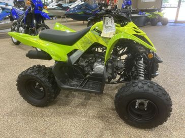 New 2026 Yamaha Raptor 110 
