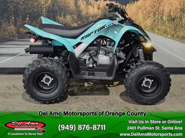 2025 Yamaha RAPTOR 110 
