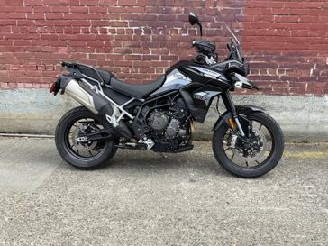 2023 Triumph TIGER 900 GT PRO