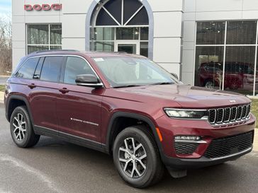 Velvet Red Pearl Coat