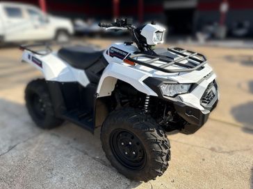 New 2025 Kawasaki BRUTE FORCE 450 4x4 