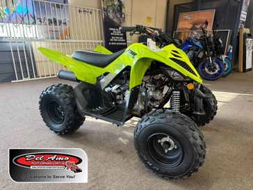 New 2026 Yamaha RAPTOR 110 