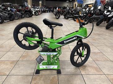 New 2024 Kawasaki Elektrode 
