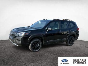 2025 Subaru Forester Wilderness