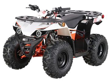 New 2026 KAYO PREDATOR 110 