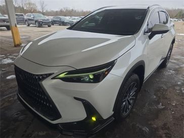 2024 Lexus NX 350h Premium