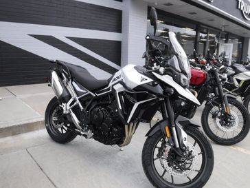 2024 Triumph Tiger 900 GT Pro 