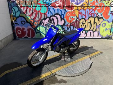 Used 2023 Yamaha TT R110 E 