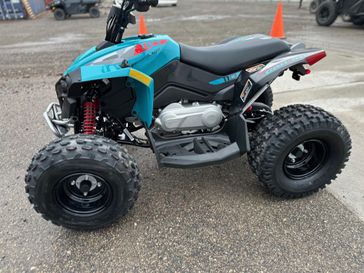 New 2026 Can-Am Renegade 110 EFI 