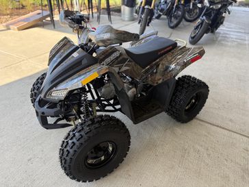 New 2025 Denago Powersports Trailhawk 10FI 