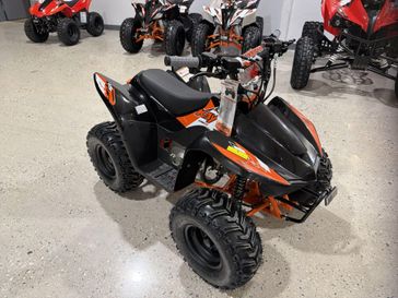 New 2026 Kayo STORM 70 