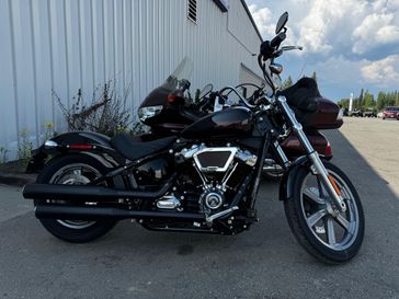 Used 2023 HARLEY FXST SOFTAIL STANDARD 