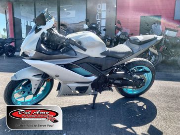 Used 2024 Yamaha YZF-R3 ABS 