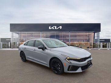 Wolf Gray