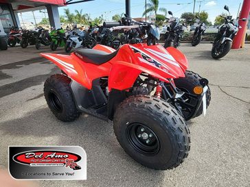 New 2025 Honda TRX90X 