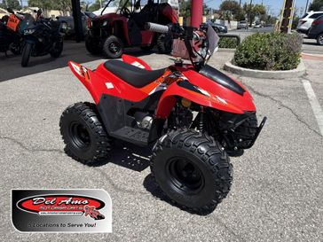 New 2026 Kayo STORM 70 
