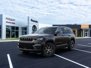 Diamond Black Crystal Pearl Coat