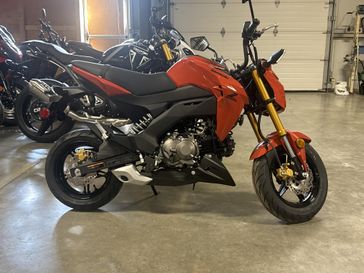 2025 Kawasaki Z125 PRO 