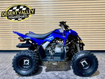 2025 Yamaha Raptor 110 