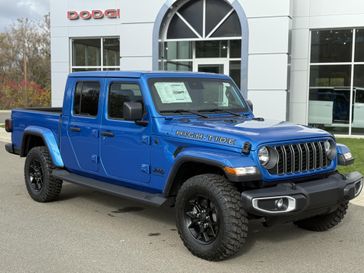 Hydro Blue Pearl Coat