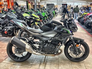 New 2025 Kawasaki Z500 ABS 