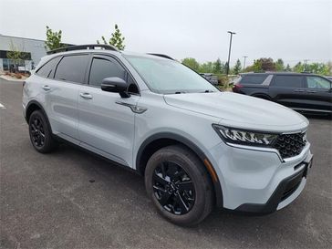 Wolf Gray